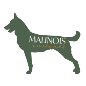 malinois02