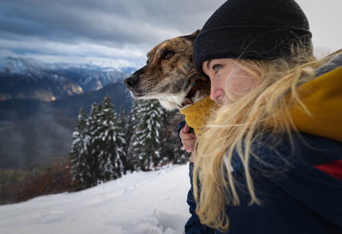 Mensch-Hund-Team übt Orientierung beim Welpentraining von Hundeinstinkt
