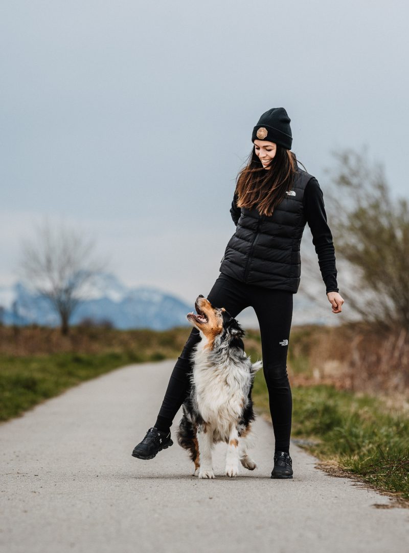 Hunde-Instinkt-Team-W-25 Hunde-Instinkt-Team-W-25