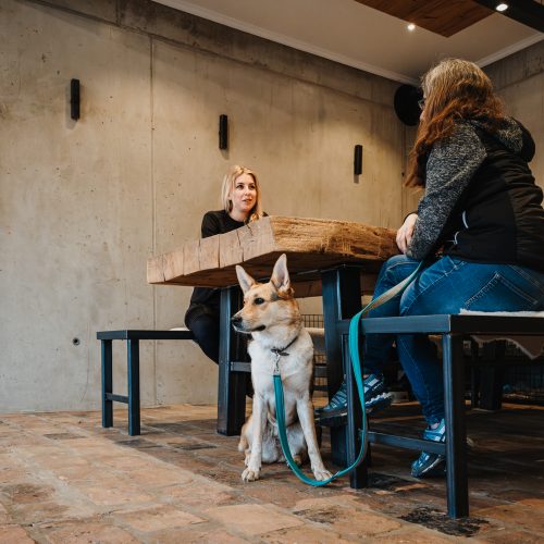 Hunde-Instinkt-W-137