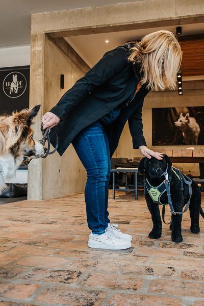 Hunde-Instinkt-W-156