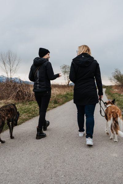 Hunde-Instinkt-W-195