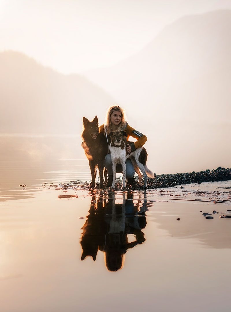 Hundeinstinkt – HUNDESCHULE & MENSCHENCOACHING Hundeinstinkt - HUNDESCHULE & MENSCHENCOACHING